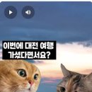 단지이것 이미지