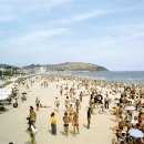 해운대 - 장성읍 | 해운대
