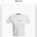 신스레터스