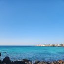 애월숲에102 | 제주올레길 15-B코스 후기｜애월에서 협재까지 바다 따라 걷는 제주 올레길