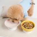 없음 쇼핑하우