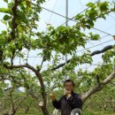 현명농장 이미지