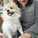 고향솥단지삼겹살 | 핑크골드 512GB 언박싱,팀홀튼,오산 맛집 고향 솥단지 삼겹살,이마트 데친한치 그리고 요란한 이별준비