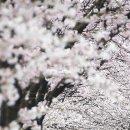 제일원떡방앗간