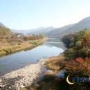 증평장뜰재래시장 이미지