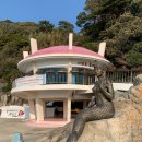 선암사매표소_관광안내소 | 거제 지심도 3월 실시간 후기 | 동백꽃 개화 현황