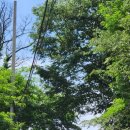 CU부암럭키점 이미지