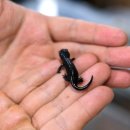 준호농장 이미지