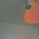 어반더파티