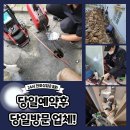 가호동30 이미지