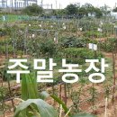 매호농장 이미지