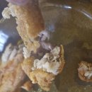 남도탁 삼남매한방치킨 이미지