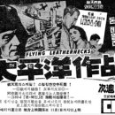 파란 DVD