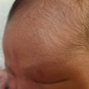 오월희망의원 이미지