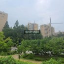 압구정-112 네이버블로그