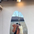 홍지랜드 이미지