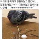 둥지 이미지