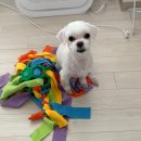 청량왕족발 모종점 | 2025년, 그렇게 또 지나가버린 한 해의 일상.zip☃️🎄