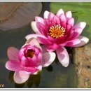 지리산이야기 이미지