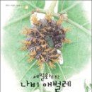 애벌레도서관 이미지