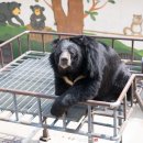 곰밭농장 이미지