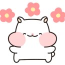 패러그린 이미지