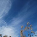 백수광부 이미지