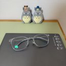 밝은e-안경콘택트 | [일산] 주엽 안경점_원셀프안경콘택트