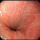 데일리연합의원 이미지