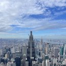 파크애비뉴 이미지