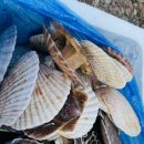 범도오토캠핑장 이미지