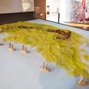 대장경오토캠핑장 이미지