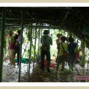 숲마을농원 이미지