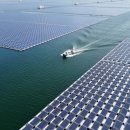 동기 태양광발전소 이미지