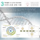 (주)지엠메디칼 | 수분.영양충전 꿀피부도전 건미수G마스크팩 리얼사용후기