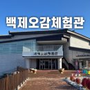 바람개비어린이도서관 | 백제오감체험관 전시관람 후기 / 공주 가볼만한 곳 추천 / 어린아이들과 방문하기 좋은 곳