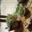 유진세차장 이미지