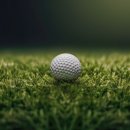 새로봄안경 이미지