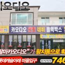 팔마카오디오