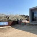 의성요 도자기공방 : 대구 근교 도자기 체험 후기