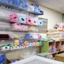 도리순이 이미지