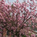 동부2리경로당 Daum카페