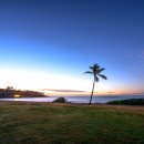 비치파크 이미지