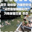 힐링파크 | 오리가 배까지 따라온다구? 경주 “국민힐링파크“후기