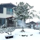 광령그린 민박 이미지