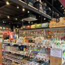 핫독애견백화점 이미지