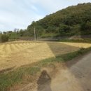 영천남부공인중개사사무소 이미지