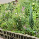 나무 밑 고양이 | 인천 영종도 카페 고양이가 사는 한옥카페 구옥수수 조용한 감성 카페 추천