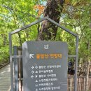 [서울 가볼만한 곳] 분홍빛 바다, 2026 불암산 철쭉제 후기