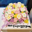 테라핀아쿠아